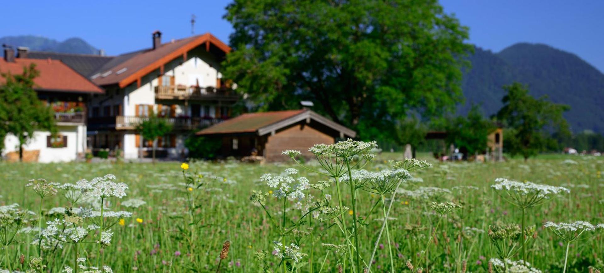Ferienwohnungen Ramslerhof Inkl. Chiemgaukarte Ruhpolding Dış mekan fotoğraf